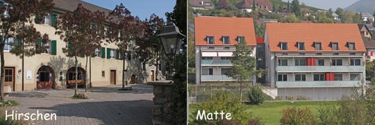 Hirschen und Matte