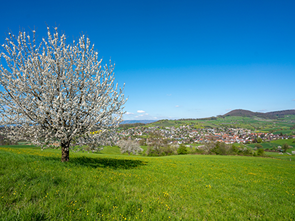 Dorfansicht vom Oensberg