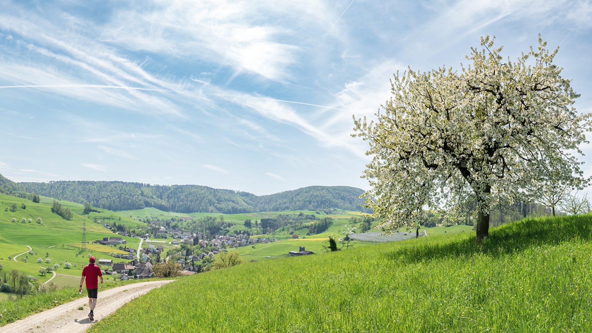 Landschaft