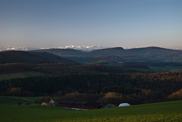 Cheisacher mit Blick auf Schynberg. Foto Edwin Rüede
