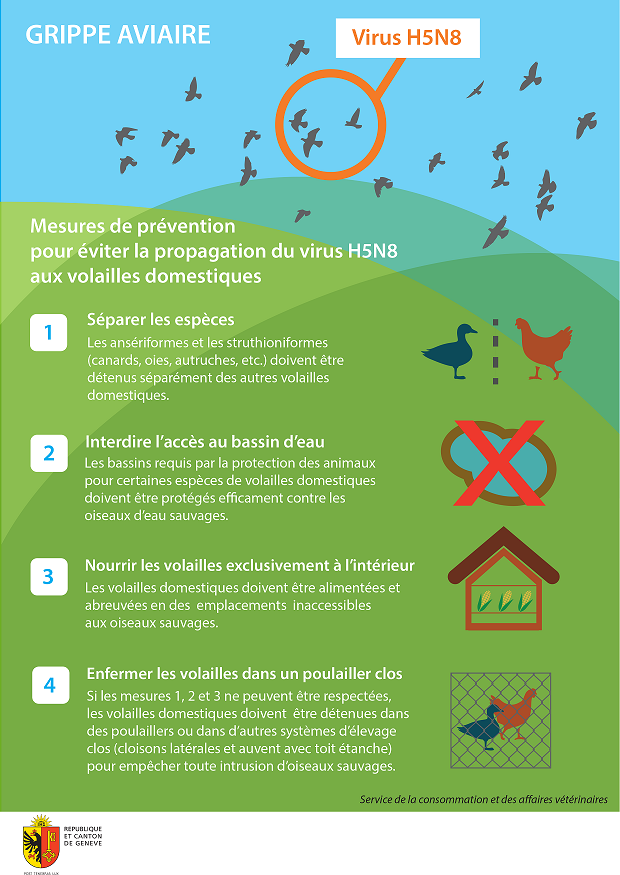 aviaire