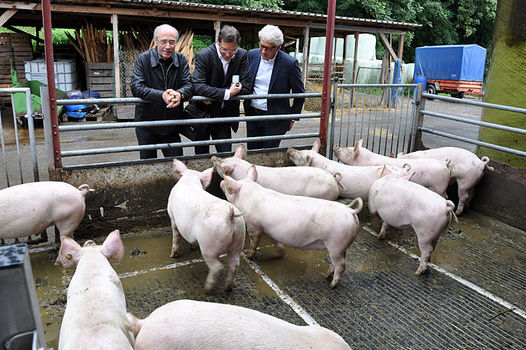 Besuch im Werkheim Wyden in Balgach, der ältesten Institution im "Verein Rhyboot", wo auch Landwirtschaft hautnah erlebt werden kann.