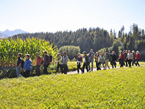 Wanderung über die Ebene von Trin Mulin nach Trin zum Ausklang der Landsitzung 2013 im Restaurant 