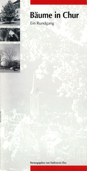 das Deckblatt der Broschüre zeigt den Blick auf die Stadt mit dem Laub eines Baumes im Vordergrund