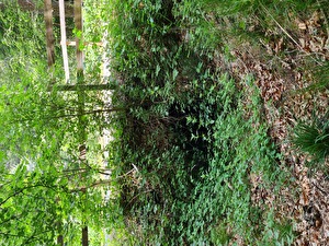 Kleintierdurchlass