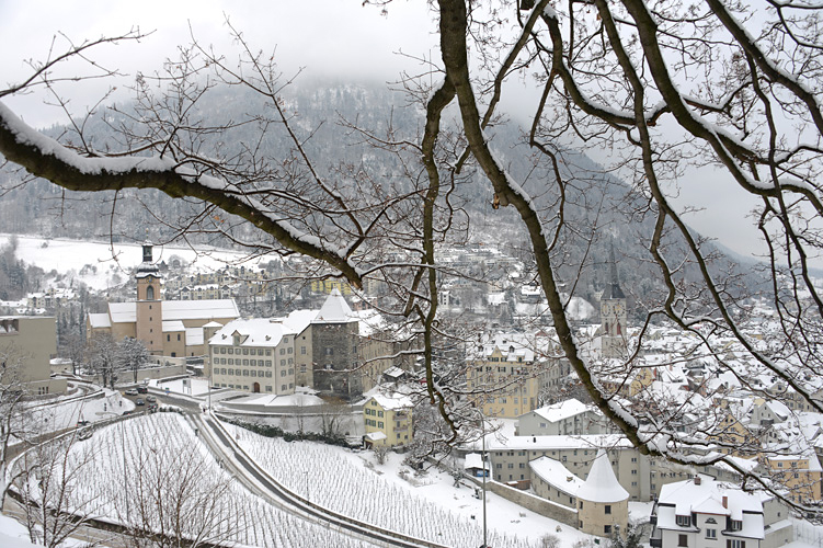Der Hof und Teile der Altstadt.