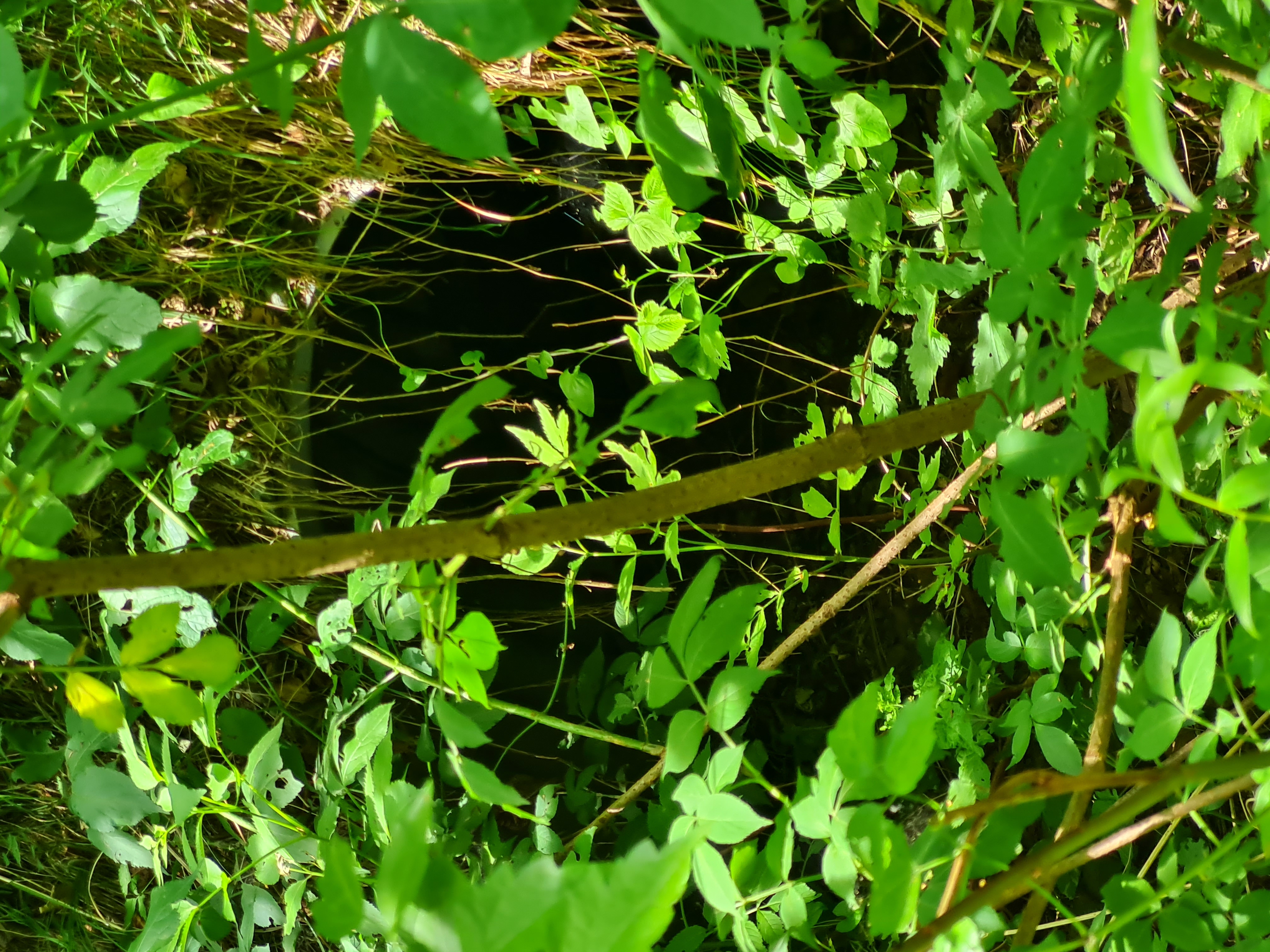 Kleintierdurchlass