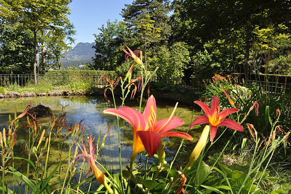 Idylle pur auf dem höchsten Punkt des Rosenhügels.