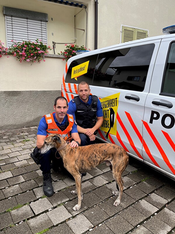 Hund auf der Autobahn A13 unterwegs