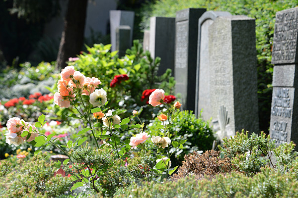 Friedhof