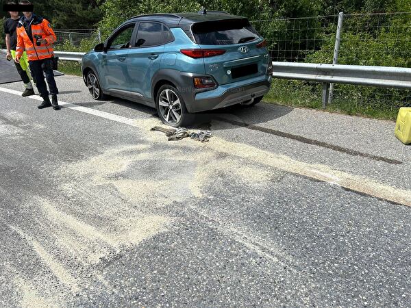 Auslaufendes Benzin Chur Süd
