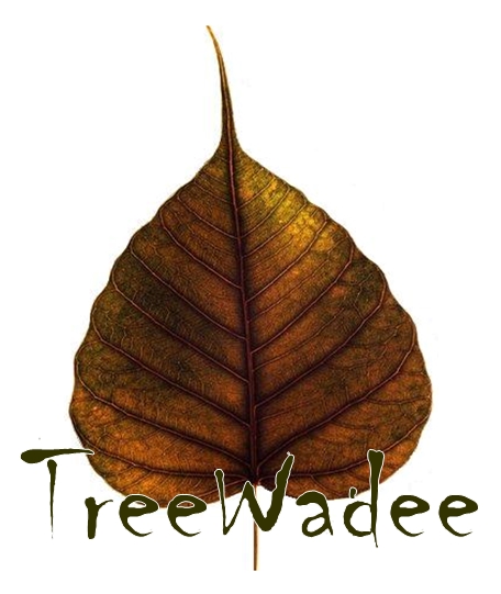 TreeWadee-Logo