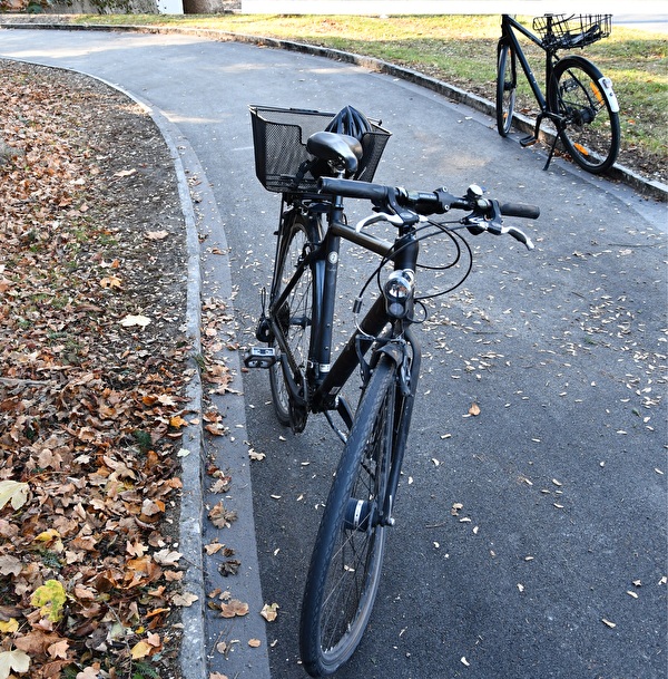 Fahrradfahrerin bei Verkehrsunfall verletzt