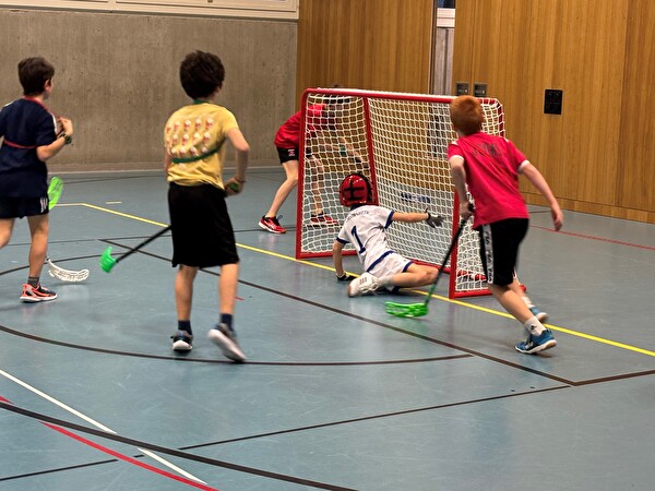 freiwilliger Schulsport