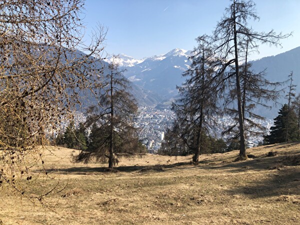 Ausblick von Arella