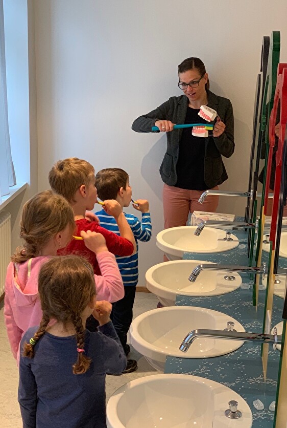 Zähneputzen zur Klassenuntersuchung