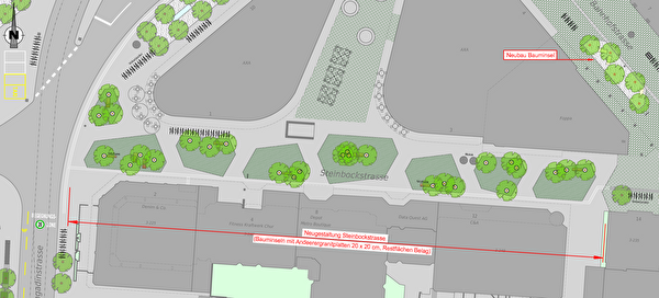 Gestaltungsplan Steinbockstrasse