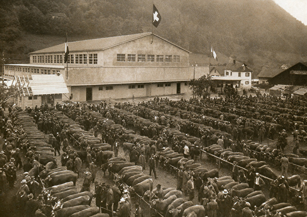 alte Stadthalle