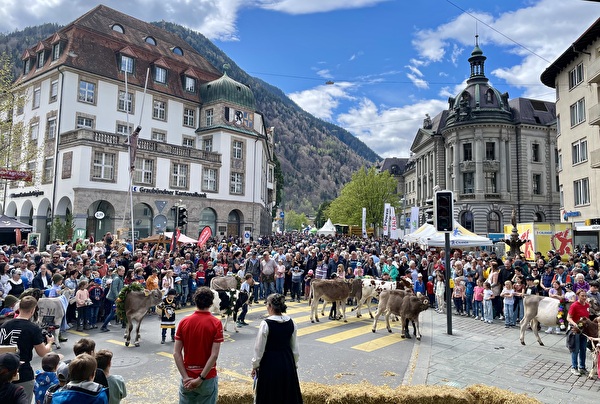 Sicherer Ablauf und viele Besucher an der Agrischa 2025 in Chur