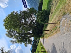 Bluatmarchweg