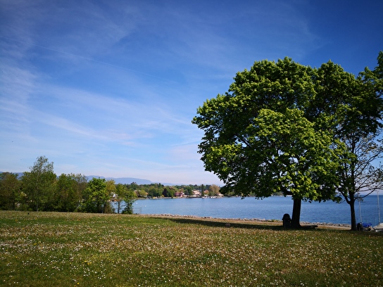 plage et port du Vengeron