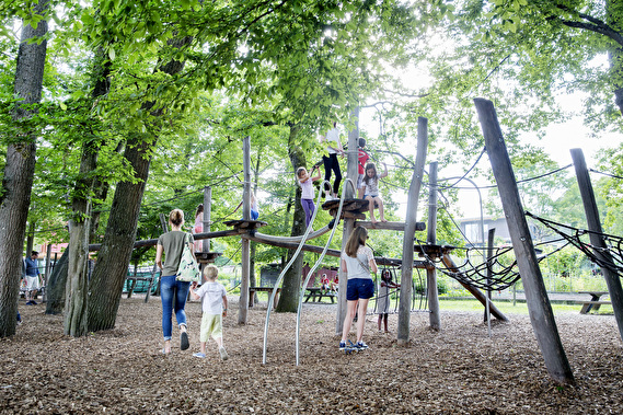 jeux dans les arbres 