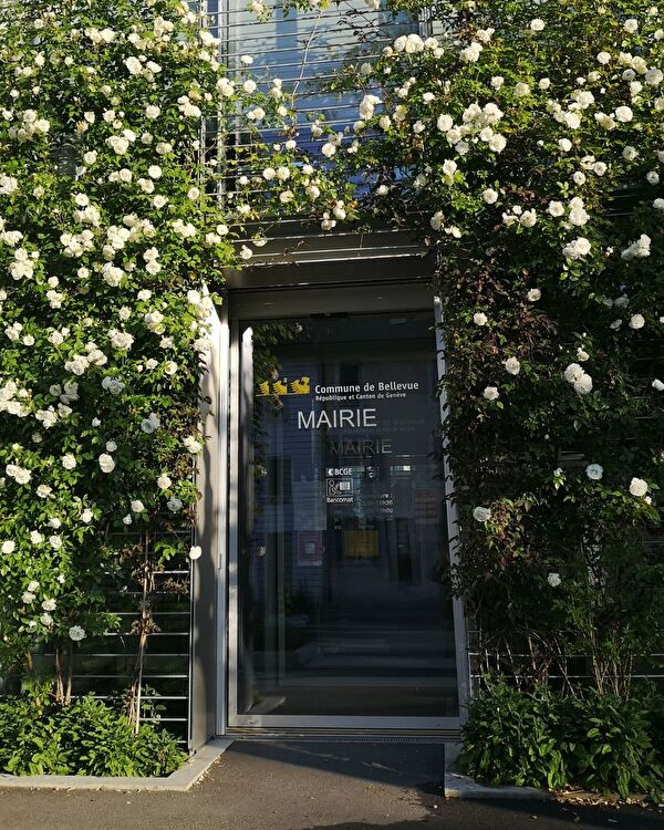entrée réception de la mairie 
