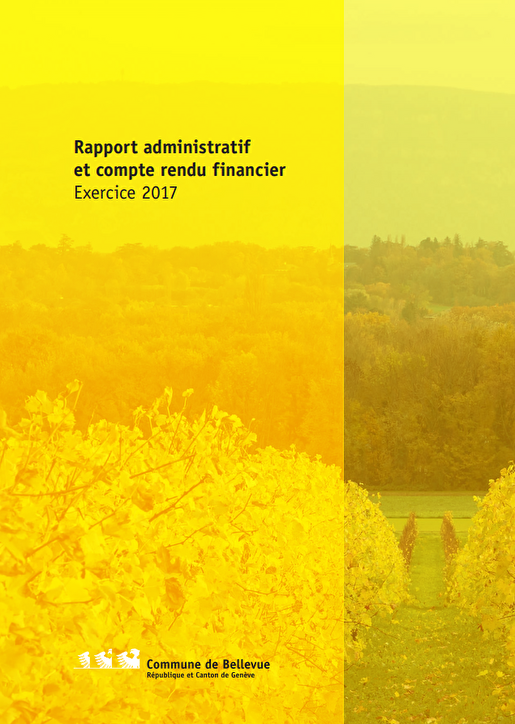 couverture rapport 2017