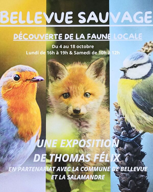 FLYER EXPOSITION 
