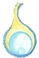 bss logo