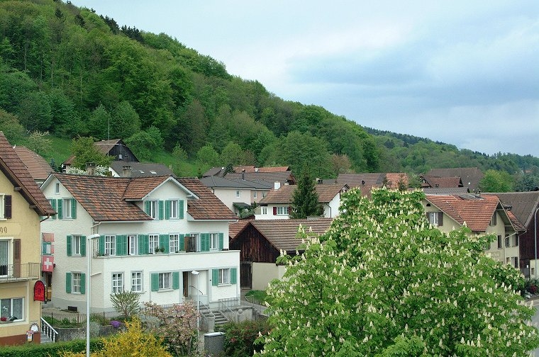 Blick vom Treppenhausturm Richtung Nordwest.