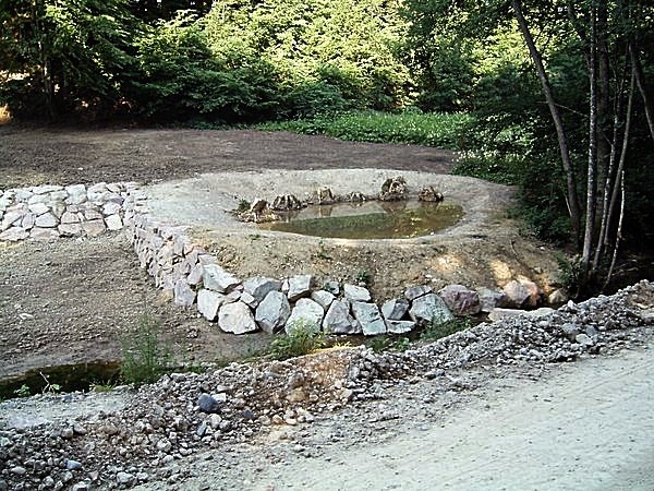 Neuer Amphibientümel beim Damm.