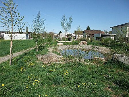 Natur-, Spiel- und Lernanlage in den Mühlematten