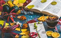 Bücherherbst