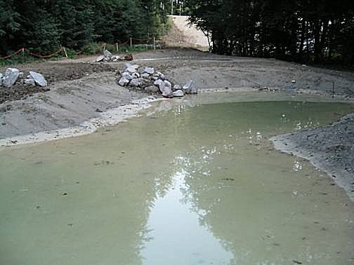 Die Amphibienteiche unterhalb des Damms.