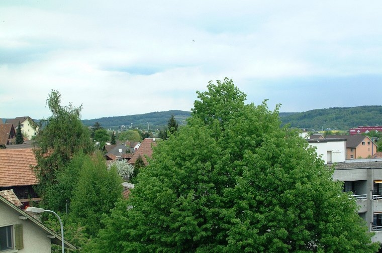 Blick vom Treppenhausturm Richtung Nord.