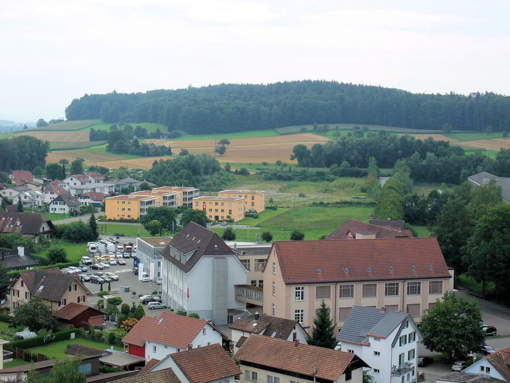 Blick auf die Eichmatt. Am Horizont der Staatswald Bärenmoos.