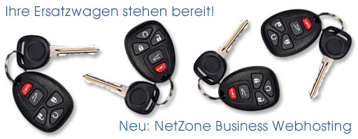 NetZone - Logo Ersatzwagen