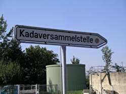 Kadaversammelstelle - Wegweiser