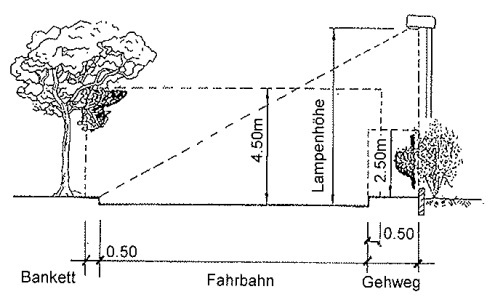 Zurückschneiden Bäume und Sträucher - Skizze