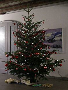 Weihnachtsbaum - geschmückter Christbaum im Schloss-Foyer
