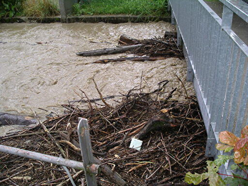 Hochwasser - Schwemmholz in der Suhre
