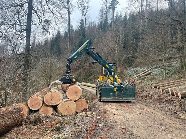 Holzrücketraktor beim Holz stapeln
