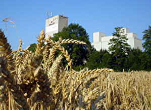 Intermill - Gebäude/Kornfeld