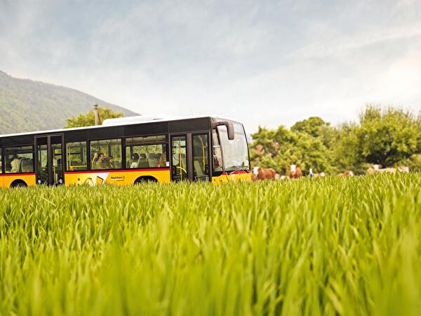 Ortsbus
