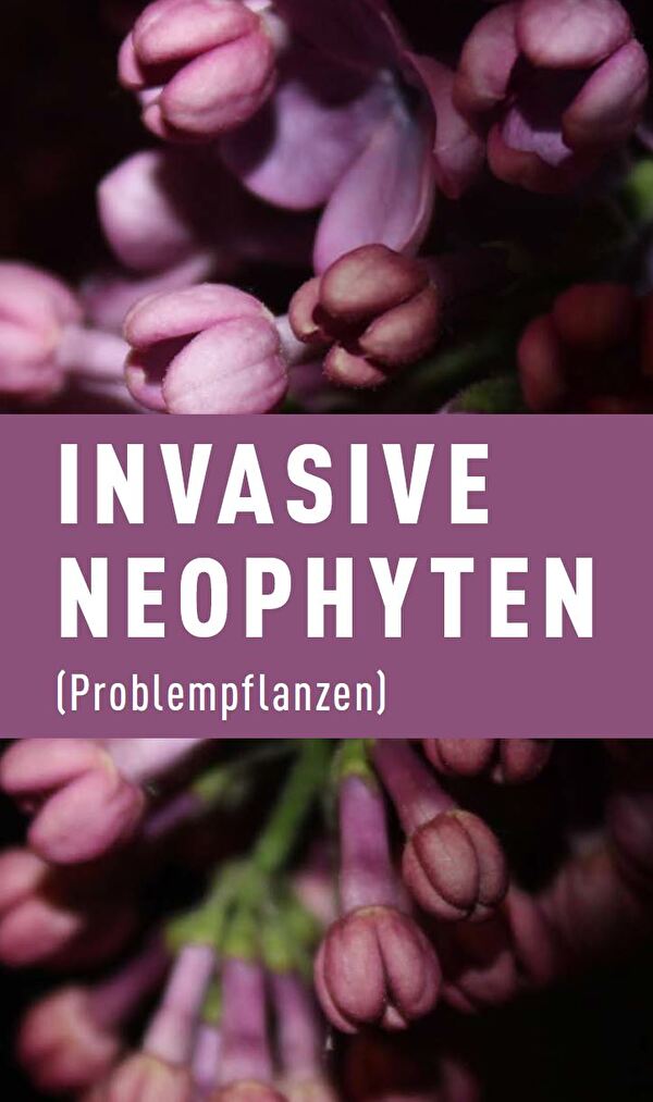 Problempflanzen