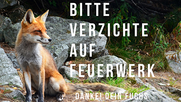 Bitte verzichtet auf Feuerwerk - Danke! Dein Fuchs