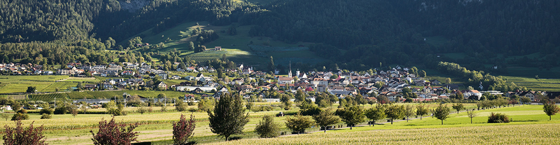 Malans Herbst 