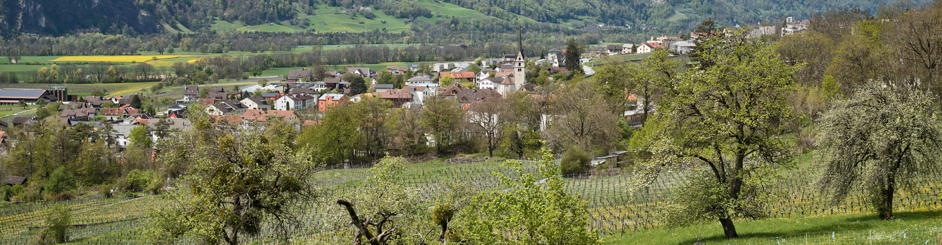 frühlinghaftes Malans