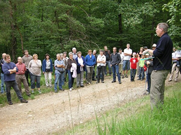 Interessierte Zuhörerinnen und Zuhörer beim Waldrundgang